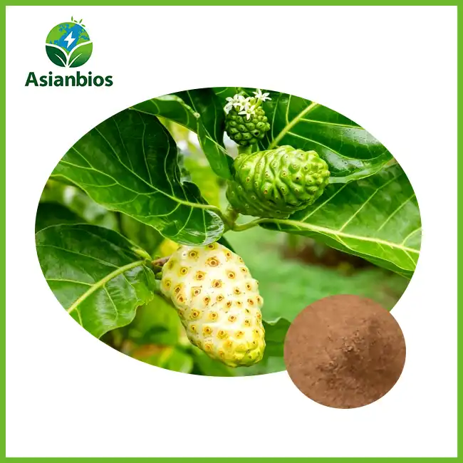 Organic Noni Powder